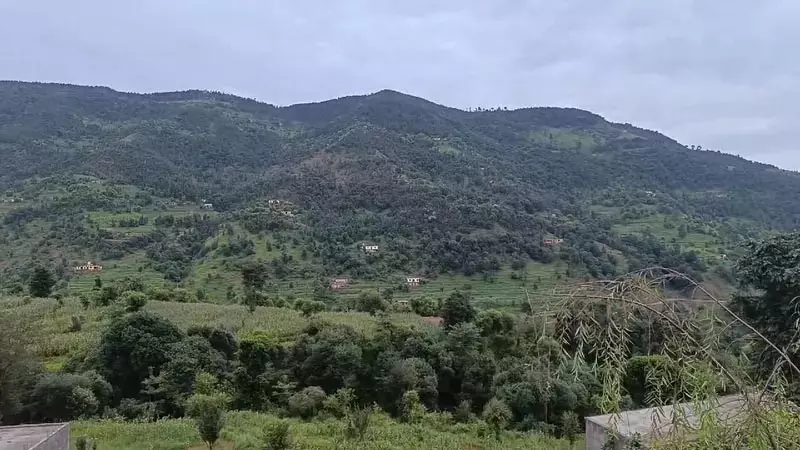 Jammu: पाकिस्तानी सेना ने नियंत्रण रेखा पर बिना उकसावे के गोलीबारी की Jammu: पाकिस्तानी सेना ने नियंत्रण रेखा पर बिना उकसावे के गोलीबारी की