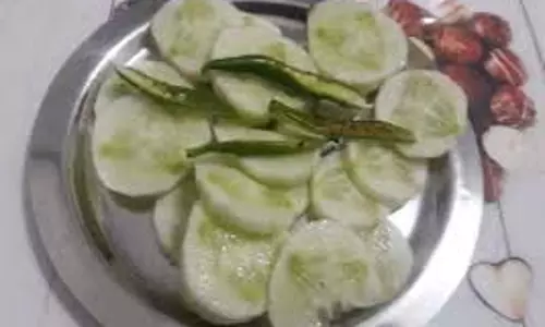 Health: गर्मियों में आप भी जरूर ट्राई करें ये 5 हेल्दी सलाद, नहीं बढ़ेगा वजन
