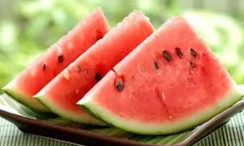 watermelon benefits : जानिए तरबूज खाने के  फायदे