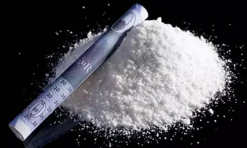 48 लाख की म्याऊ-म्याऊ ड्रग्स के साथ तस्कर गिरफ्तार