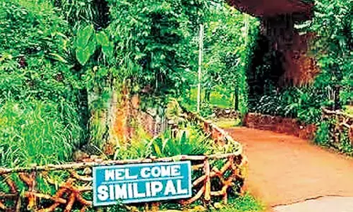 Odisha: सिमिलिपाल को राष्ट्रीय उद्यान का दर्जा मिला