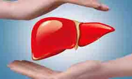 Health: लिवर को डिटॉक्स करने में मदद करते हैं ये 5 आयुर्वेदिक फूड्स, जानें फायदे Health: लिवर को डिटॉक्स करने में मदद करते हैं ये 5 आयुर्वेदिक फूड्स, जानें फायदे