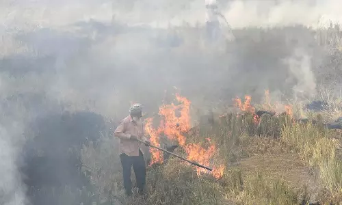 मध्य प्रदेश के सागर में पराली जलाने पर 48 से अधिक लोगों के खिलाफ FIR दर्ज