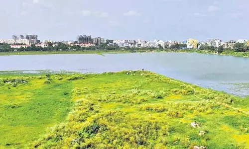 कपरा लेक रिवाइवल ग्रुप जल्द ही स्थिरता कार्यक्रम की मेजबानी करेगा कपरा लेक रिवाइवल ग्रुप जल्द ही स्थिरता कार्यक्रम की मेजबानी करेगा