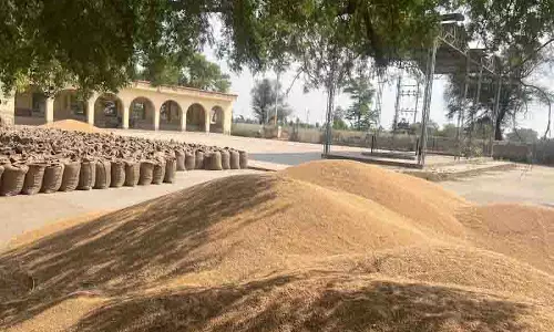 Punjab: श्मशान भूमि का उपयोग गेहूं भंडारण के लिए