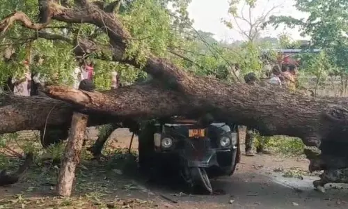 ऑटो रिक्शा पर पेड़ गिरने से 2 की मौत