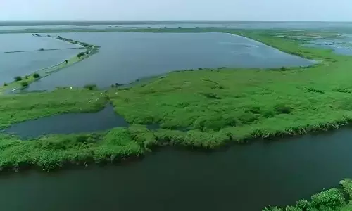 AP: कोलेरू झील पर अतिक्रमण का खतरा मंडरा रहा AP: कोलेरू झील पर अतिक्रमण का खतरा मंडरा रहा