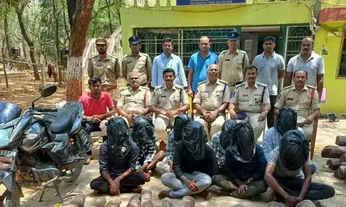 Andhra: 8 लाल चंदन तस्कर गिरफ्तार