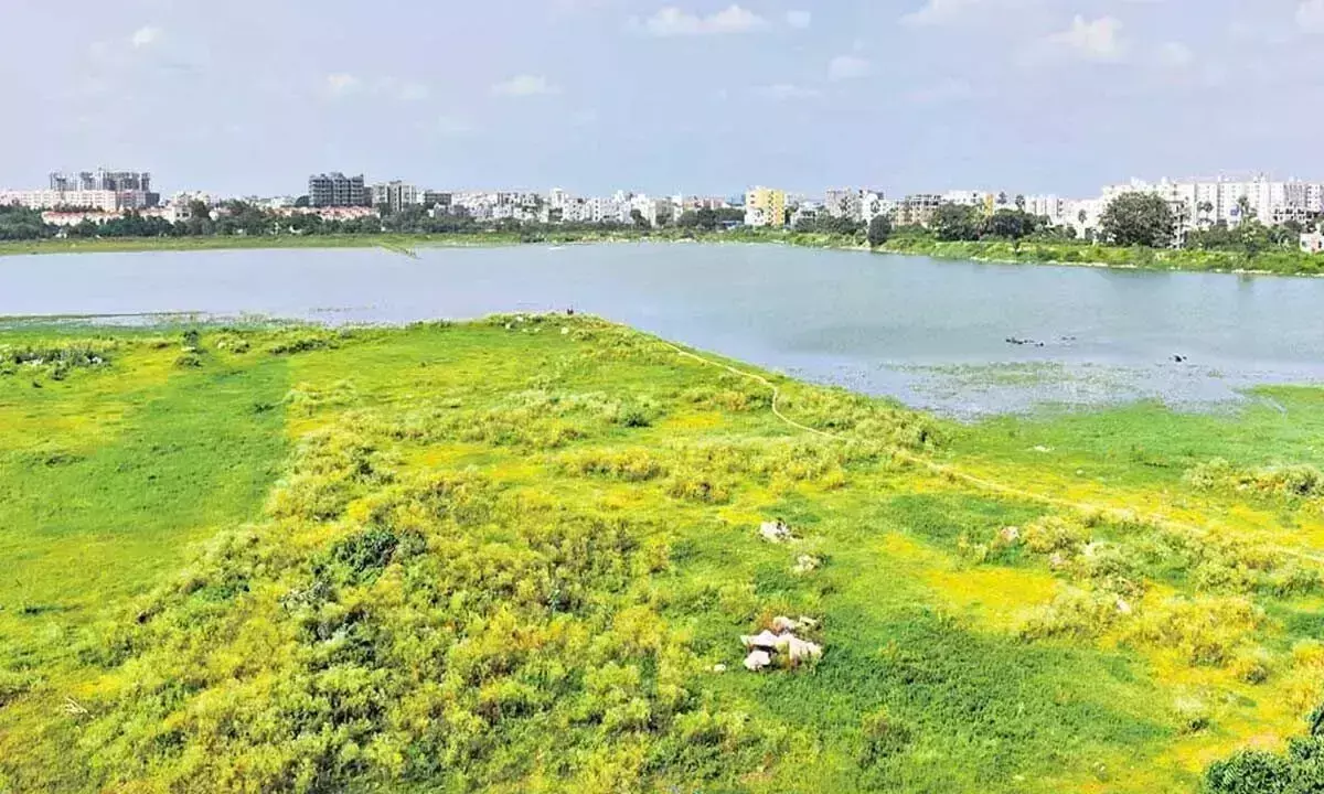 Telangana: कपरा लेक रिवाइवल ग्रुप जल्द ही स्थिरता कार्यक्रम की मेजबानी करेगा