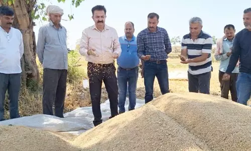 सीमा पर तनाव के बीच Kathua में जीरो लाइन के पास किसानों ने गेहूं की कटाई तेज कर दी