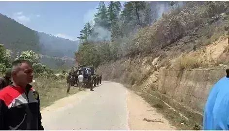 Arunachal: दिरांग जंगल की आग पर काबू पाया गया Arunachal: दिरांग जंगल की आग पर काबू पाया गया