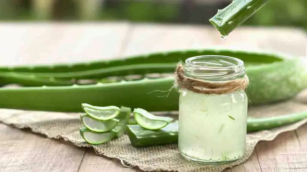 Juices for Glowing Skin : चेहरे का ग्लो बरकरार रखेंगे ये तीन जूस, बनाने का तरीका भी है आसान Juices for Glowing Skin : चेहरे का ग्लो बरकरार रखेंगे ये तीन जूस, बनाने का तरीका भी है आसान