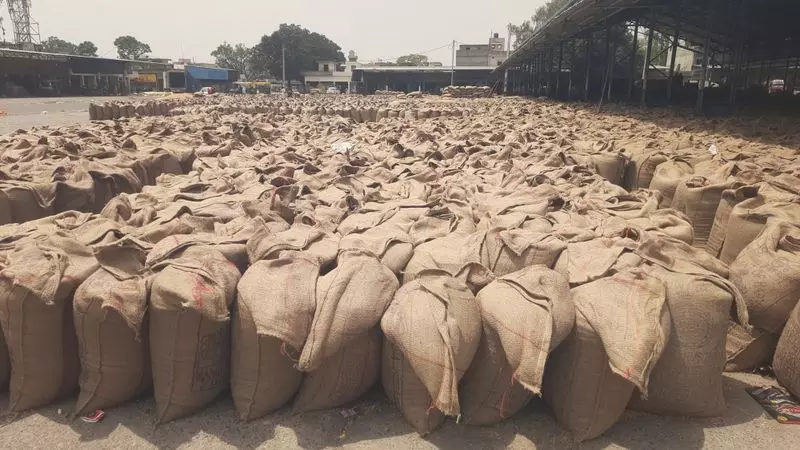 Yamunanagar अनाज मंडियों से अभी तक खरीदा गया 30% गेहूं नहीं उठाया गया Yamunanagar अनाज मंडियों से अभी तक खरीदा गया 30% गेहूं नहीं उठाया गया