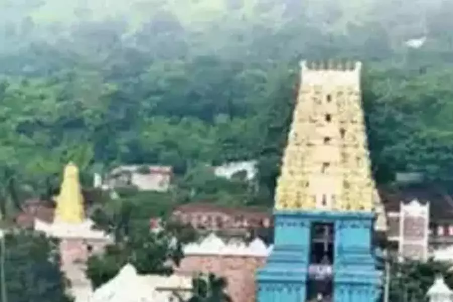 सिंहाचलम मंदिर में भव्य रूप से गंधम अमावस्या उत्सव मनाया गया सिंहाचलम मंदिर में भव्य रूप से गंधम अमावस्या उत्सव मनाया गया