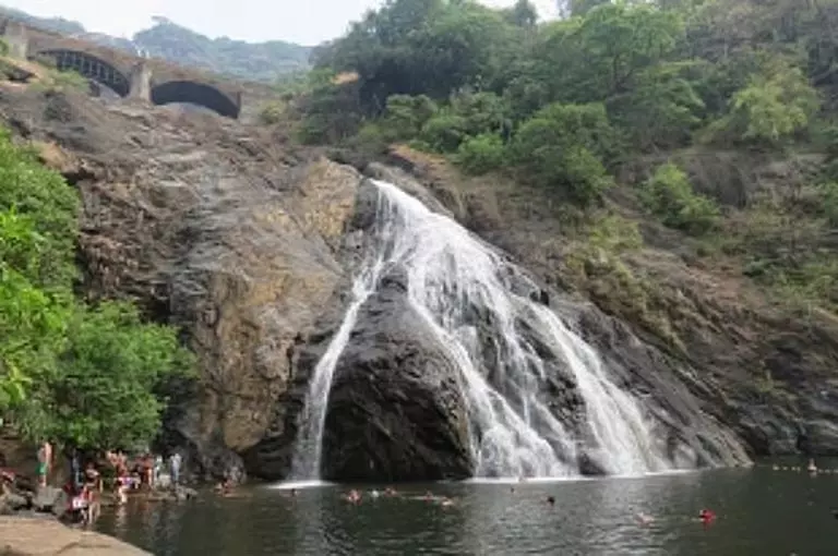 Dudhsagar नदी हादसा: पिकनिक मनाते समय 21 वर्षीय युवक डूबा Dudhsagar नदी हादसा: पिकनिक मनाते समय 21 वर्षीय युवक डूबा