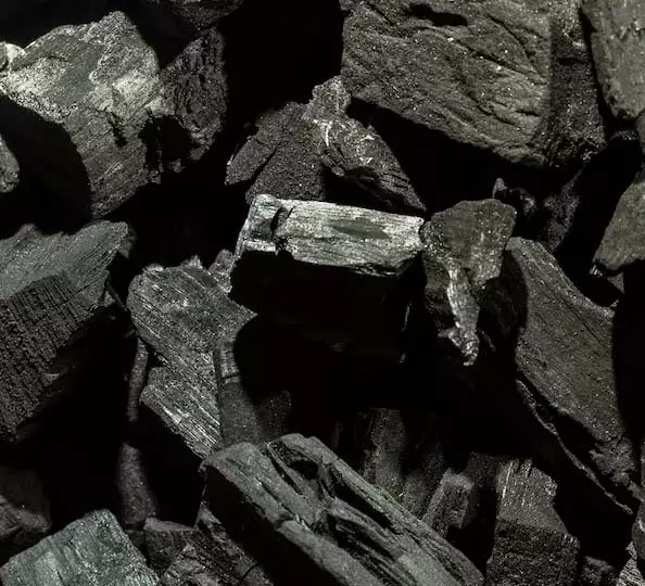 असम और मेघालय में अवैध कोयला खनन असम और मेघालय में अवैध कोयला खनन