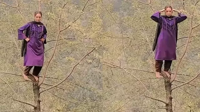 Kashmiri महिला ने पेड़ के ऊपर चढ़कर झल्ला वाला गाने पर किया डांस, वीडियो वायरल Kashmiri महिला ने पेड़ के ऊपर चढ़कर झल्ला वाला गाने पर किया डांस, वीडियो वायरल