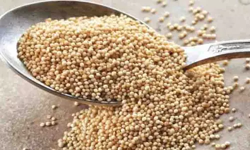 Health: हर रोज खाएं ये सस्ता और सेहतमंद अनाज, बीमारियों को कहें अलविदा Health: हर रोज खाएं ये सस्ता और सेहतमंद अनाज, बीमारियों को कहें अलविदा