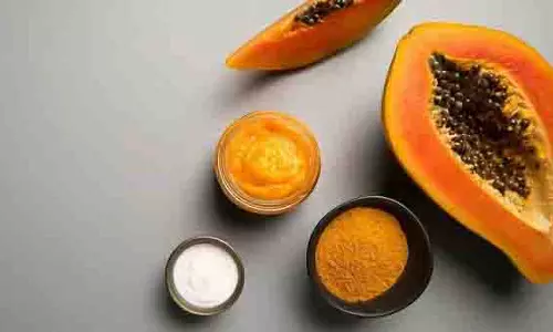 Skin care: गर्मियों में त्वचा को चमकदार बनाने के लिए लगाएं पपीते से बने ये 2 असरदार फेस पैक Skin care: गर्मियों में त्वचा को चमकदार बनाने के लिए लगाएं पपीते से बने ये 2 असरदार फेस पैक