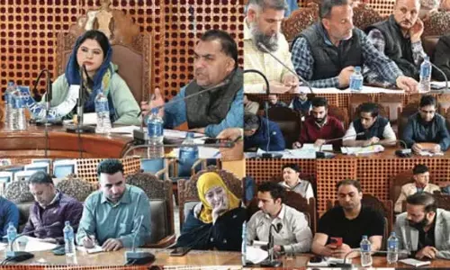 DDC अध्यक्ष शोपियां ने वार्षिक कार्य योजना पर चर्चा की DDC अध्यक्ष शोपियां ने वार्षिक कार्य योजना पर चर्चा की