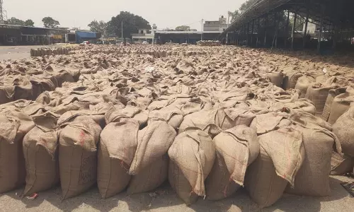 Yamunanagar अनाज मंडियों से अभी तक खरीदा गया 30% गेहूं नहीं उठाया गया Yamunanagar अनाज मंडियों से अभी तक खरीदा गया 30% गेहूं नहीं उठाया गया
