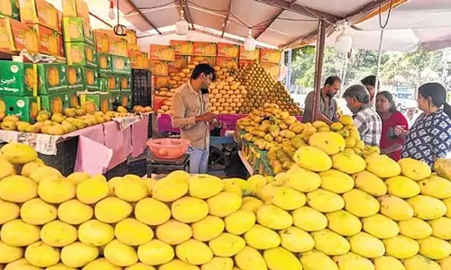किसानों के मीठे आम खट्टे हुए: बारिश से फसल को भारी नुकसान किसानों के मीठे आम खट्टे हुए: बारिश से फसल को भारी नुकसान