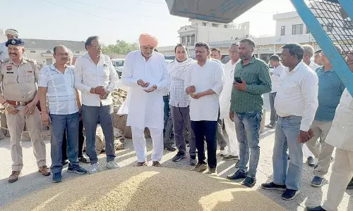 Haryana :  कृषि मंत्री ने यमुनानगर मंडी का किया औचक निरीक्षण