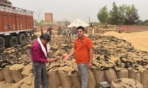 Haryana : माजरा अनाज मंडी में आग लगने से बारदाना नष्ट Haryana : माजरा अनाज मंडी में आग लगने से बारदाना नष्ट