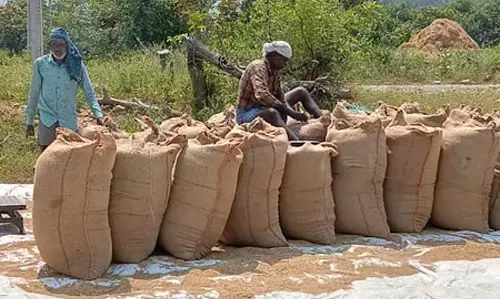 Bargarh के किसानों ने 1 मई से रबी धान की खरीद की मांग की