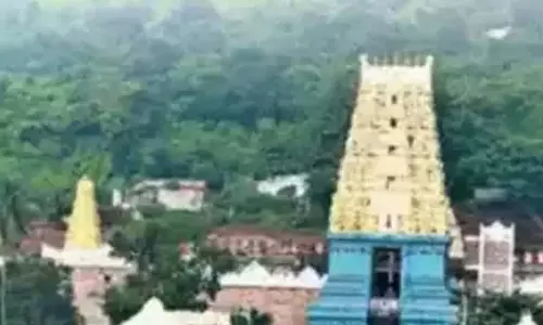 सिंहाचलम मंदिर में भव्य रूप से गंधम अमावस्या उत्सव मनाया गया सिंहाचलम मंदिर में भव्य रूप से गंधम अमावस्या उत्सव मनाया गया