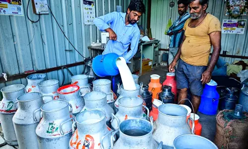 गर्मियों में भी दूध का प्रवाह जारी; KMF को संग्रह में 9% से 12% की वृद्धि की उम्मीद गर्मियों में भी दूध का प्रवाह जारी; KMF को संग्रह में 9% से 12% की वृद्धि की उम्मीद