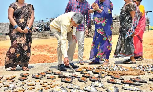 हमने शिकार प्रतिबंध भत्ता बढ़ा दिया है : CM Chandrababu हमने शिकार प्रतिबंध भत्ता बढ़ा दिया है : CM Chandrababu