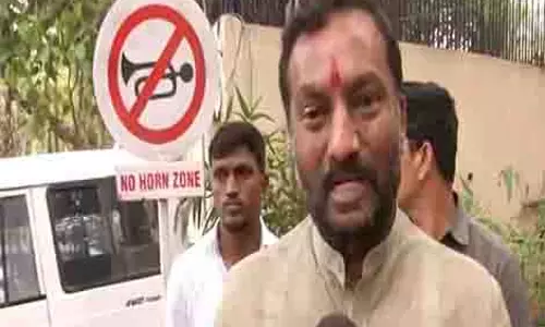 सभी अवैध अप्रवासियों को वापस भेजने के लिए आगे आएं: BJP के रघुनंदन राव