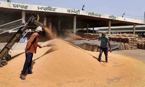 पंजाब ने खरीद लक्ष्य को पार कर लिया: Minister