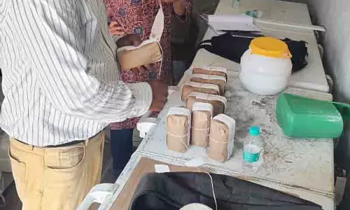 Ludhiana: 545 किलोग्राम नकली पनीर जब्त