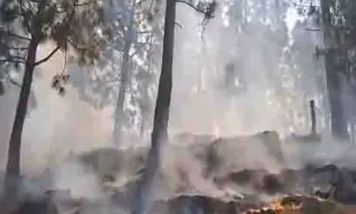 Kalakote के जंगल में भीषण आग लगी, अग्निशमन अभियान जारी