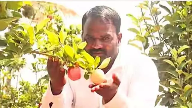 40 डिग्री की गर्मी में भी सेब उगाने वाले बागलकोट के किसान की उपलब्धि: मन की बात में PM ने की तारीफ 40 डिग्री की गर्मी में भी सेब उगाने वाले बागलकोट के किसान की उपलब्धि: मन की बात में PM ने की तारीफ