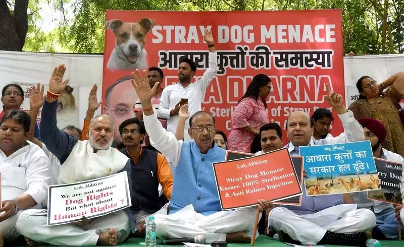Delhi: जंतर-मंतर पर आवारा कुत्तों के आतंक के खिलाफ प्रदर्शन Delhi: जंतर-मंतर पर आवारा कुत्तों के आतंक के खिलाफ प्रदर्शन