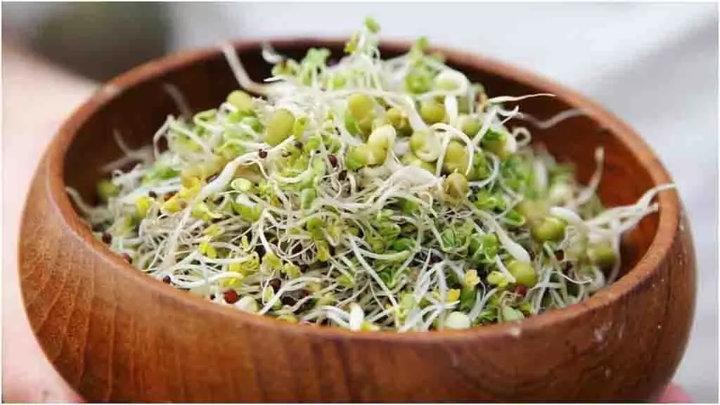 Snacks Recipes: गर्मियों में बनाएं ये स्नैक्स, नहीं पड़ेगी गैस की जरूरत Snacks Recipes: गर्मियों में बनाएं ये स्नैक्स, नहीं पड़ेगी गैस की जरूरत