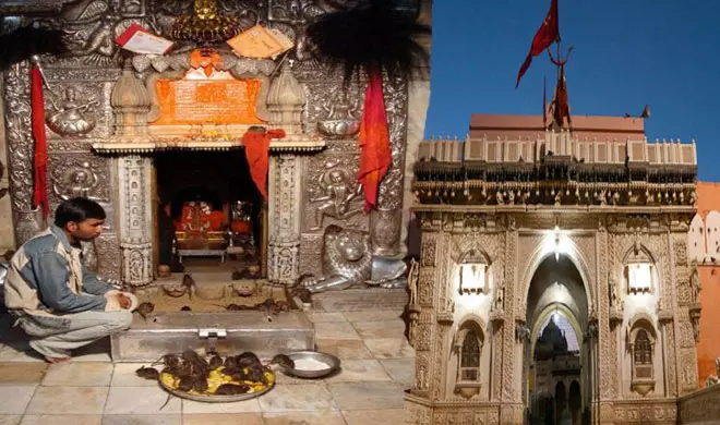 Karni Mata temple में हजारों चूहों का रहस्य, क्यों नहीं उठाते लोग पैर? Karni Mata temple में हजारों चूहों का रहस्य, क्यों नहीं उठाते लोग पैर?