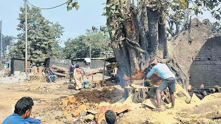 ओडिशा में NH-320 चौड़ीकरण कार्य में देरी, पेड़ों की कटाई से बाधा ओडिशा में NH-320 चौड़ीकरण कार्य में देरी, पेड़ों की कटाई से बाधा