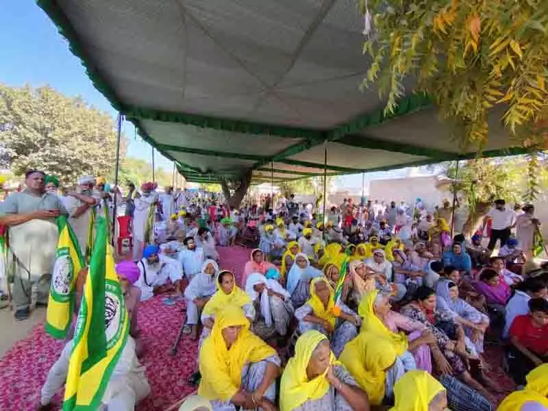 Punjab: किसानों ने कहा अगर राज्य 4 मई की बैठक में भाग लेता है तो वे शामिल नहीं होंगे Punjab: किसानों ने कहा अगर राज्य 4 मई की बैठक में भाग लेता है तो वे शामिल नहीं होंगे