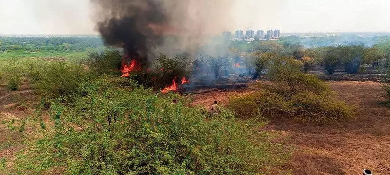 Haryana : अग्रोहा में खुदाई के दौरान लगी आग Haryana : अग्रोहा में खुदाई के दौरान लगी आग