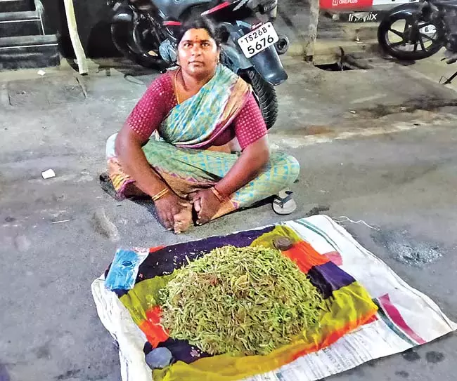 Telangana : इमली की कीमतें ऊंचाई पर Telangana : इमली की कीमतें ऊंचाई पर