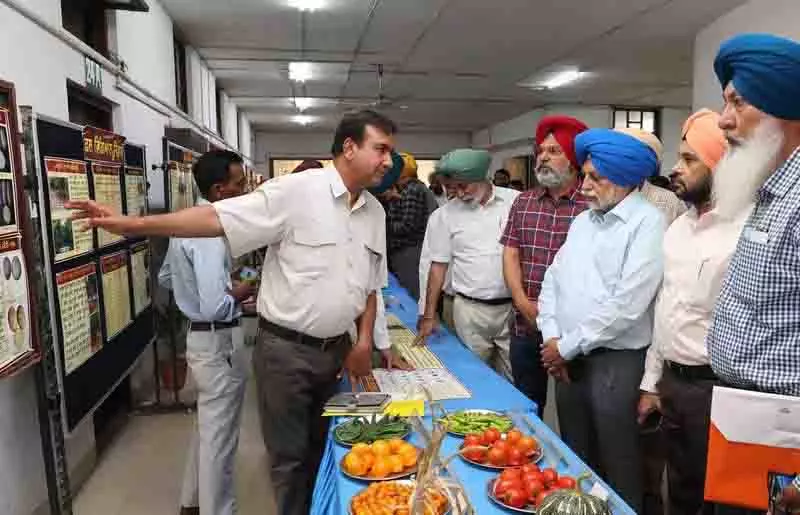 गहराते जल संकट के बीच Pusa-44 किस्म को चरणबद्ध तरीके से हटाया जाए गहराते जल संकट के बीच Pusa-44 किस्म को चरणबद्ध तरीके से हटाया जाए