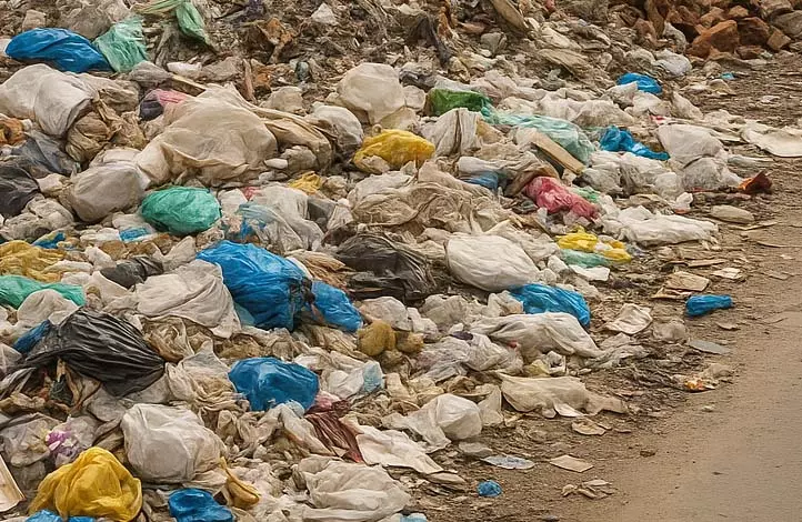 Andhra Pradesh: मंत्री ने कचरा प्रबंधन को प्राथमिकता देने की दी सलाह Andhra Pradesh: मंत्री ने कचरा प्रबंधन को प्राथमिकता देने की दी सलाह