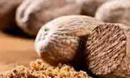 Nutmeg water Benefits: सुबह खाली पेट पिएं जायफल का पानी, मिलेंगे फायदे Nutmeg water Benefits: सुबह खाली पेट पिएं जायफल का पानी, मिलेंगे फायदे