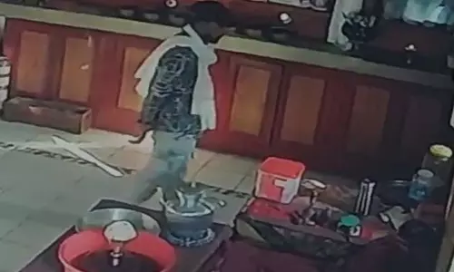 कपल ने की मंदिर में चोरी, दानपेटी से पैसे चुराए कपल ने की मंदिर में चोरी, दानपेटी से पैसे चुराए
