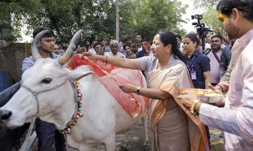 मुख्यमंत्री ने गौशालाओं को सहायता देने के लिए योजना की घोषणा की मुख्यमंत्री ने गौशालाओं को सहायता देने के लिए योजना की घोषणा की