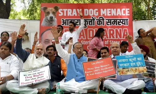 Delhi: जंतर-मंतर पर आवारा कुत्तों के आतंक के खिलाफ प्रदर्शन